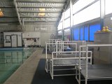 Dad's Club indoor pool 1006Voss Road Houston 77055 (3).JPG